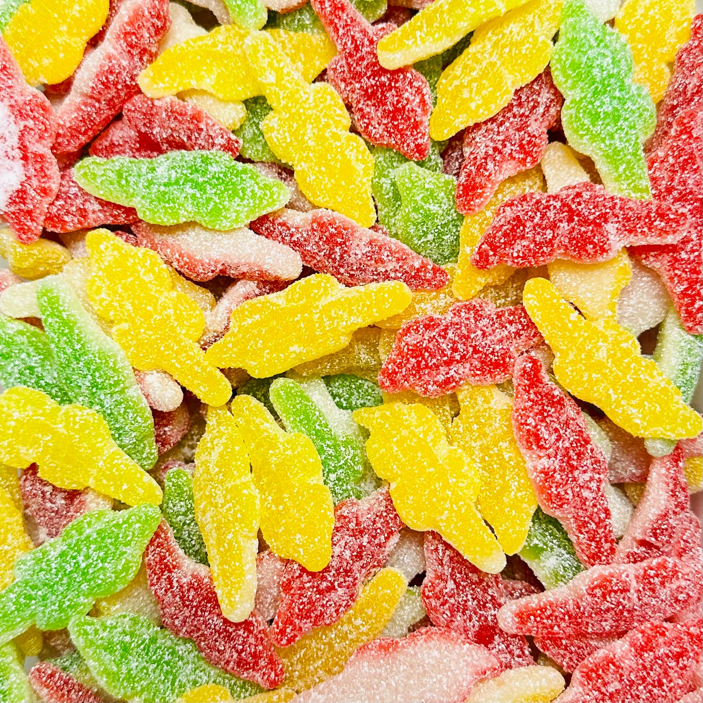 Sour Crocodiles
