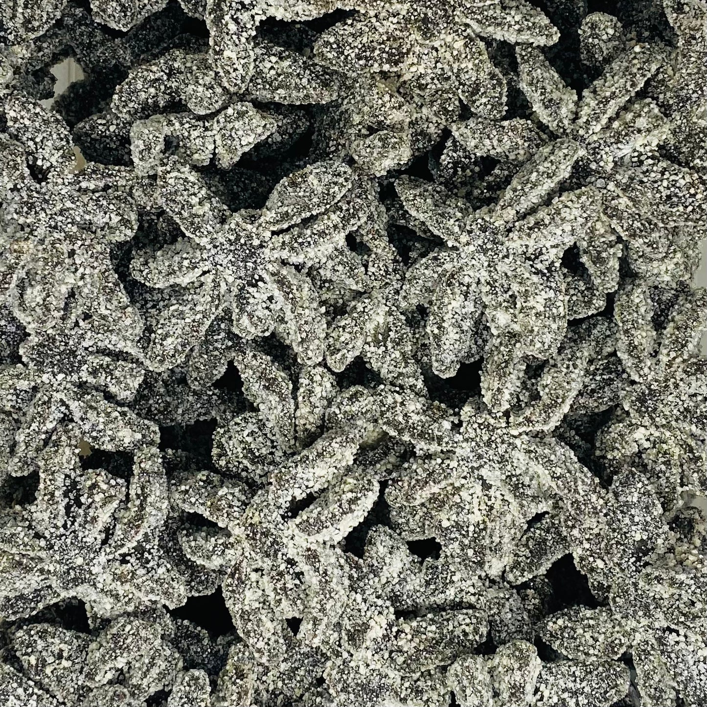 Sugared Black Spiders
