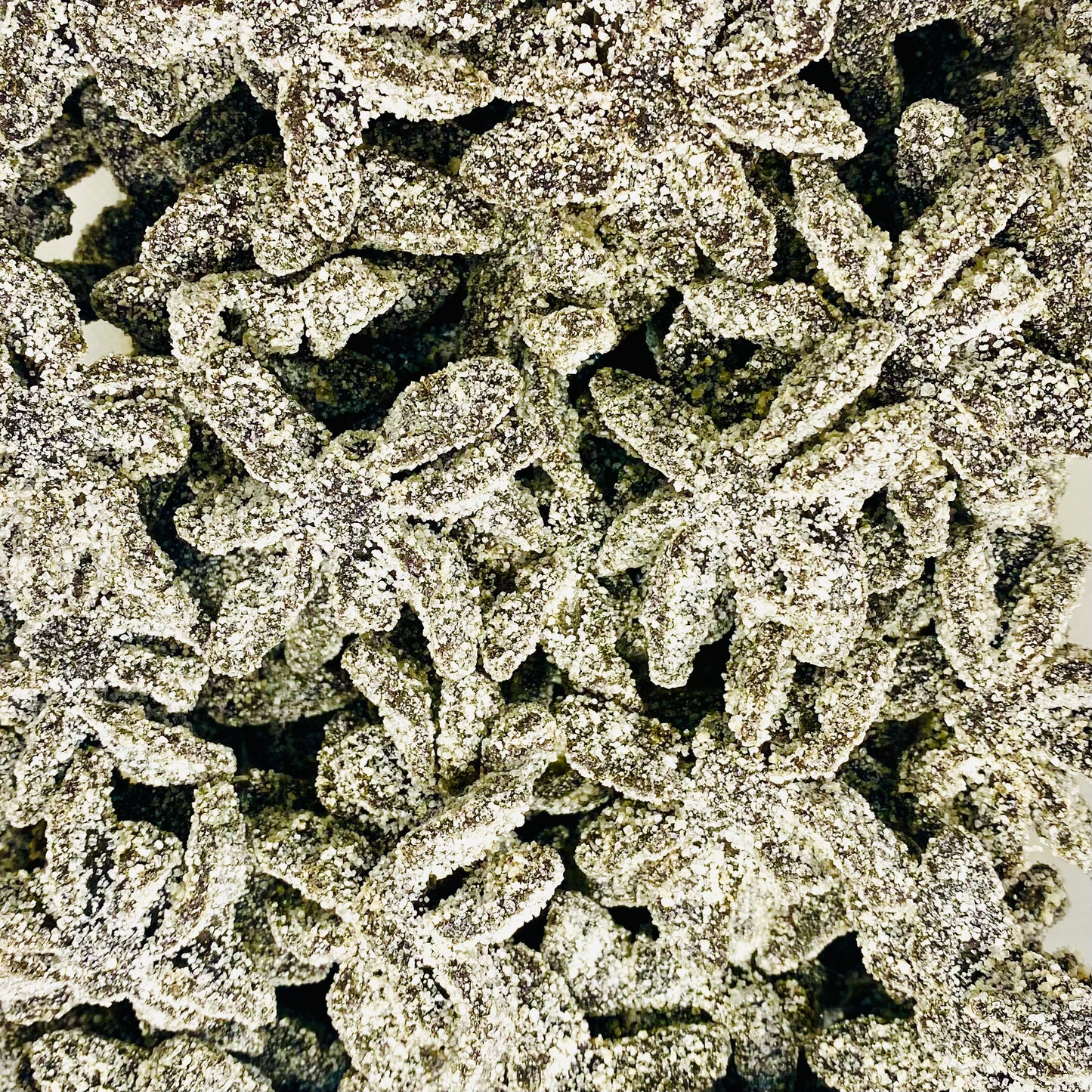 Sugared Black Spiders