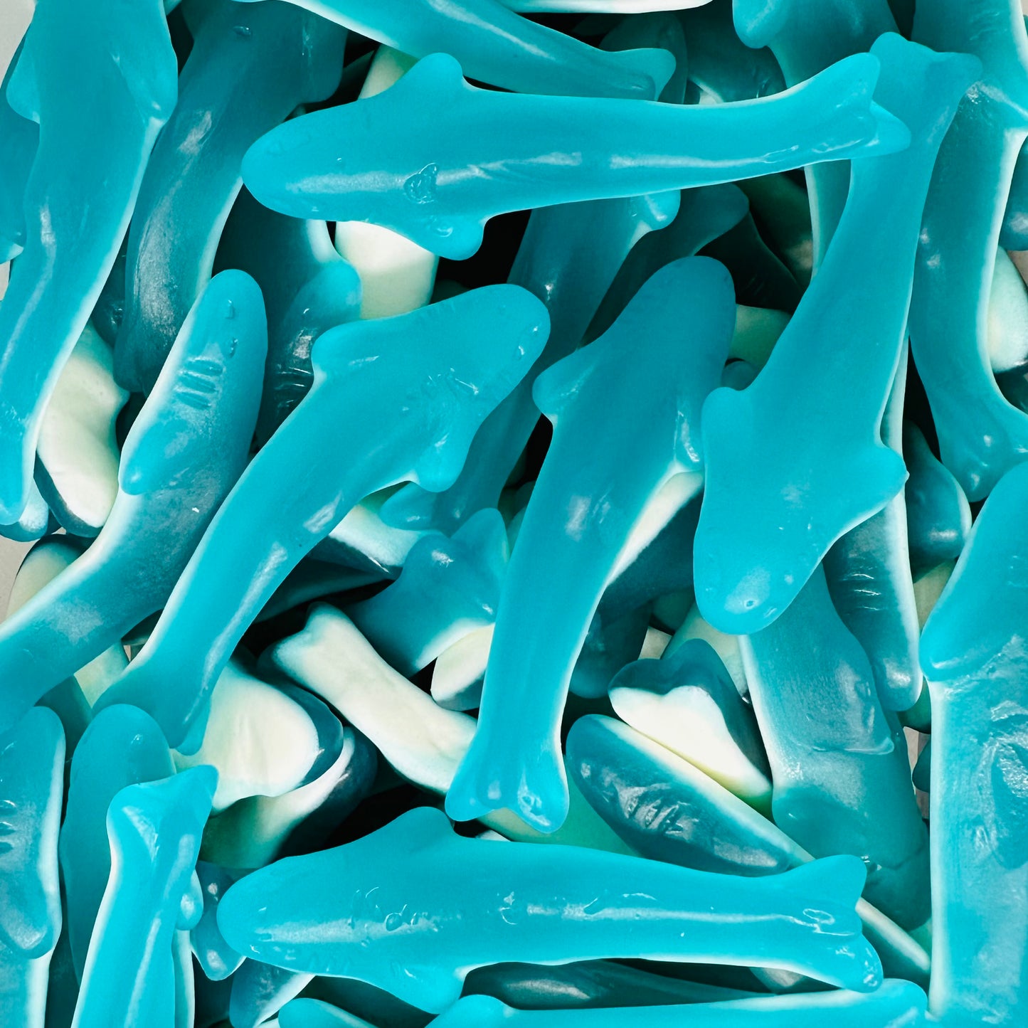 Blueberry Dolphins