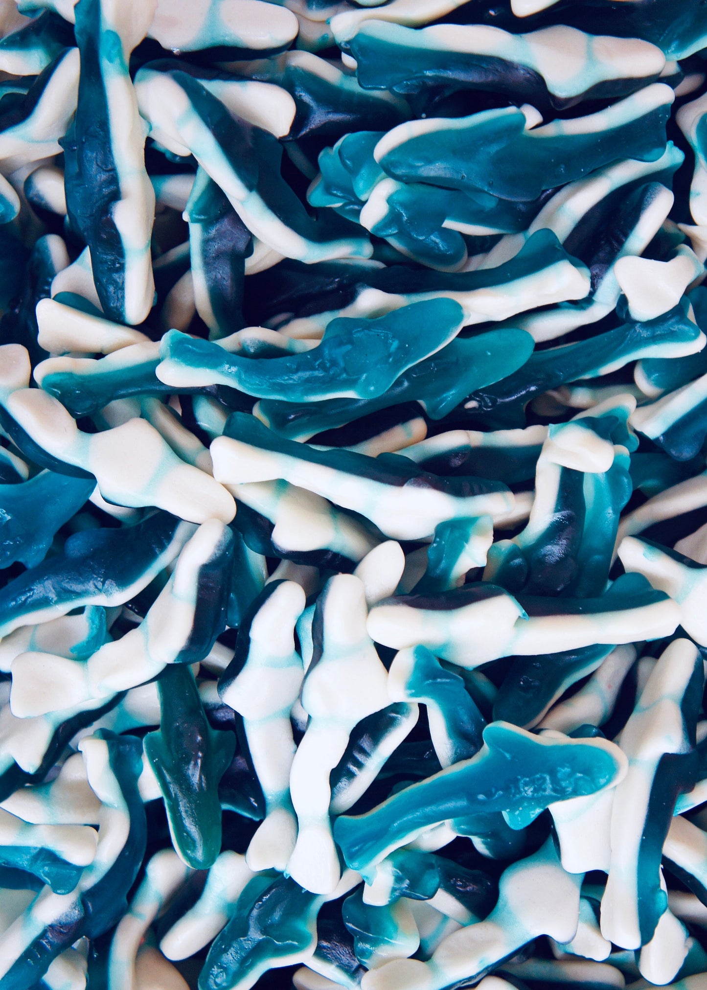 Pick n Mix Blue Shark Gummies